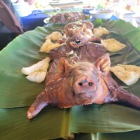 Pig Roasting Party! Cuban Lechon Asado